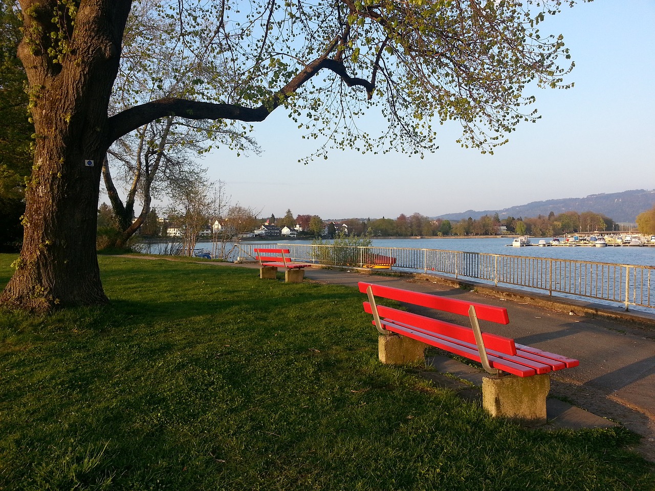 在新老交替 在新老交替