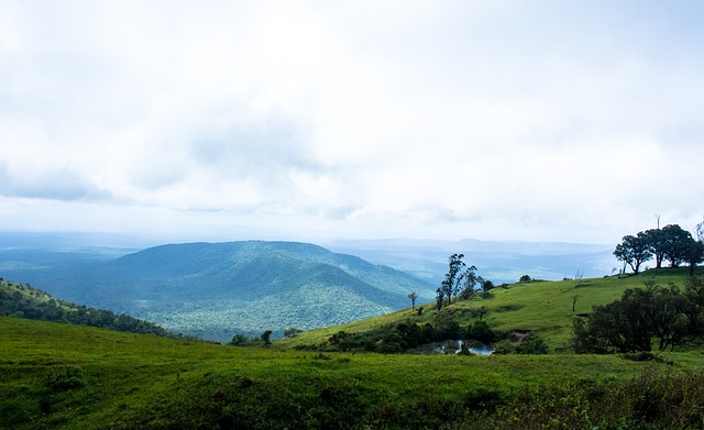 为了保持健 为了保持健