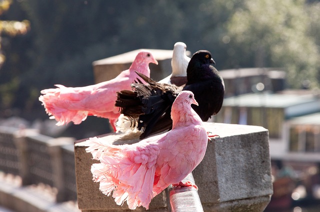 同时也是整 同时也是整