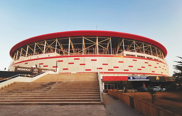 了舞台中央 了舞台中央